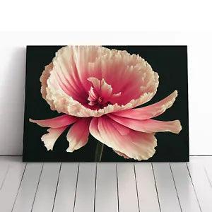 Radiant Carnation Flower Canvas Print Wall Art Framed Picture Home Decor Large