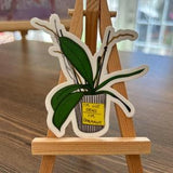 I??m not dead I??m dormant orchid vinyl sticker