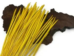 60 Pieces - 18-22" Dyed Yellow Thousand Grass Reed Preserved Dried Botanical