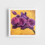 HYDRA purple moth orchid phalaenopsis botanical fine art (8x8, 10x10, 16x16, 20x20) print from original oil painting. giclee or canvas