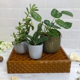 Humidity Tray Plant Humidity Tray Humidity Tray For Pots