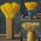 50PCS Real Natural Dried Wheat Ear Flower Bunch Party Wedding Craft Home Decor