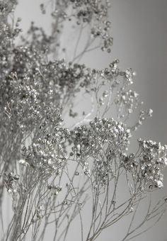 Botanicals Flower Delivery
