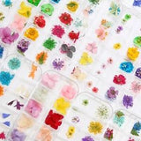 1 Box Natural Dried Flowers Plant Filling For Necklace Earrings Pendant...