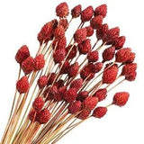 60 Pcs Red Dried Flowers for Vase Bouquet Bulk 16