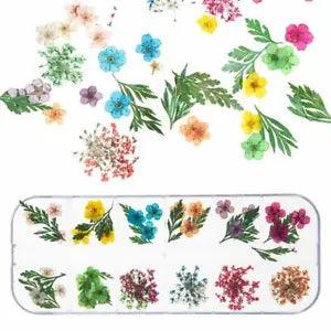 Dried Flowers Mixed Set Nail Decoration Dried Flowers Nail Decor Nail Art Tip