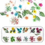 Dried Flowers Mixed Set Nail Decoration Dried Flowers Nail Decor Nail Art Tip