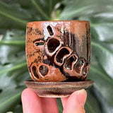 Micro Mini Millipede Black Brown Orchid Planter Pot with Holes and Optional Saucer