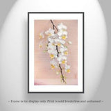 Art Photography of Orchid Flowers