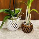 Spiral Orchid Pot with Drainage Holes: Stylish 3D Printed Planter for Healthy Orchid Growth