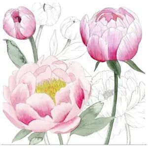 May Peonies II Poster Art Print, Peony Home Decor