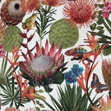 Arizona Cactus Cotton Fabric By Metre White Blue Orchid Iguana Butterfly Frog