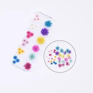 36PCS Real Pressed Dry Mixed flowers collection, 12 colors FCD504 #13