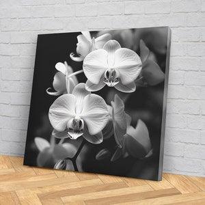 Monochrome Orchid Canvas Print - Elegant Home D???cor - Black and White Flower Wall Art  - Orchid Decore  - New