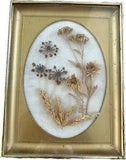 Vintage Pressed Dried Flowers in Oval Glass with Gold Wood Frame