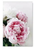 Peonies Poster Girls Room Decor Peony Flower Art Pink Peony Unframed Decor