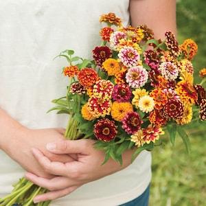 25 Jazzy Mix Zinnia Seeds / Zinnia Elegans / Cut Flower / Aztec Flower / English Garden / Wildflowers / Cottage / Bouquet Flowers