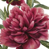 TWO Individual Napkins Peonies Flowers Red Cocktail for Decoupage (889)