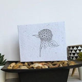 Hydrangea Seed Card