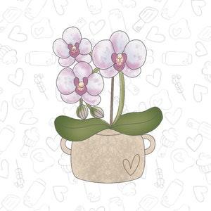 Orchid Plant