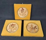 Set Dried Pressed Flower Frames Velvet Square 3.5x3.5 Home Decorative Art Rare