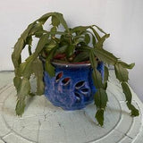 Holiday Sale! Glazed blue ceramic orchid bowl, blue lavender pottery planter, indoor orchid planter, indoor planter stoneware