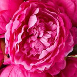 Artificial Fuchsia Peony Bouquet for Home Decor, Crafting and Displaying