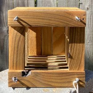 227. Salvaged Treated Pine Wood Hanging Basket Planter for Orchids, Bromeliads, Ferns, Cacti, Other Epiphytes and Succulents