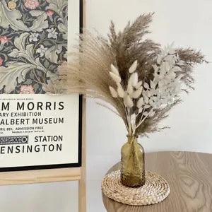 Reed Dried Flowesr Pampas Bouquet Dried Gypsophila Flowers Garden Floral Decors
