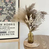 Reed Dried Flowesr Pampas Bouquet Dried Gypsophila Flowers Garden Floral Decors
