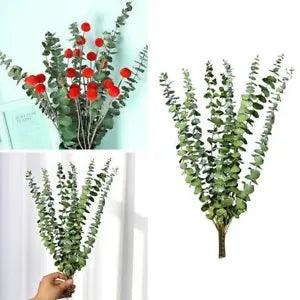 10pcs Natural Dried Flower Eucalyptus Branches Leaves Home Bouquet NEW M3H9