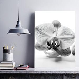 Black and White Orchid Print, Flower Art, Flower Wall Art, Wall Art Prints, Floral Prints, Orchid Art, Orchid Prints, Botany Prints