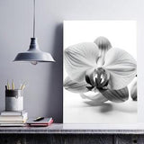 Black and White Orchid Print, Flower Art, Flower Wall Art, Wall Art Prints, Floral Prints, Orchid Art, Orchid Prints, Botany Prints