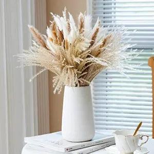 120 Pcs Dried Flowers Pampas Grass Decor for Vase, Contains Bunny Tails Dried