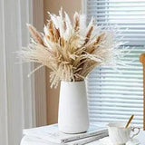 120 Pcs Dried Flowers Pampas Grass Decor for Vase, Contains Bunny Tails Dried