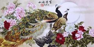 ORIGINAL ASIAN FINE ART CHINESE WATERCOLOR PAINTING-Peacock lover&Peony flower