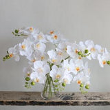 17.7??? White Faux Real Touch Phalaenopsis Orchid, Spring Plant Stem, DIY Centerpieces/Florals/Office/Wedding/Home Decorations | Gifts For Mum