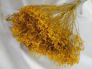 NATURAL AIR DRIED DYED GOLDEN YELLOW BROOM BLOOM - FLORAL FOLIAGE FILLER