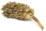 Magnolia Pod
