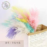 Pampas Grass Decor White Pink Color Fluffy Reed Flower Wedding Flowers Natural