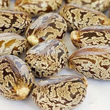 Castor Bean Seeds, Beautifully patterned bean seeds, palma christi, wonderboom, Select seeds amount