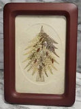 Framed Dried Flowers And Leaves. on Paperboard. Behind Glass.