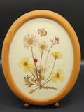 Vintage Oval Framed Dried Pressed Flower Art Display