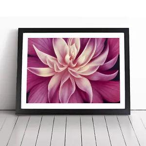 Seductive Carnation Flower Framed Wall Art Poster Print Home Decor Picture Large
