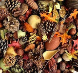 Huge Assortment of Dried Bowl Filler Decoration Thanksgiving 3.5+ Lbs / 2.5 Gals