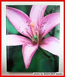 Lilies Hardcover