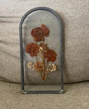 Framed pressed flowers
