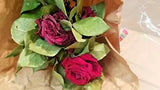 Real Air Dried Dozen Roses Flowers Red Rustic Bouquet w/ Greenery (NEW)