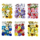 Assorted Pressed Dried Flower for DIY Scrapbooking Resin Pendant Crafts Tool