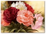 5D Diamond Painting Kit Peony Flowers DIY Art Square Round Drills Craft Picture